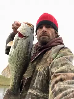 6lb Largemouth Bass