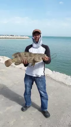 my first grouper in KSA