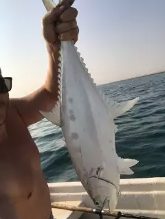 Queen fish