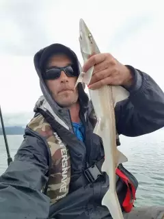Rig ( smooth hound) shark off my kayak