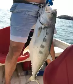 12kg queen fish Dubai Jebal ali