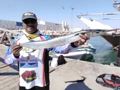Al Ashkharah, Needlefish-1