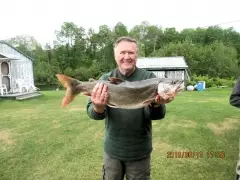 Lake Trout