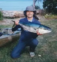 Kingfish caught in Golden Bay, New Zealand