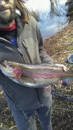 Trophy Trout 22 inch 12lbs
