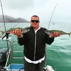 Mackerel