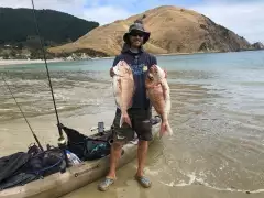 snapper time at cable bay