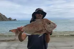 11 pound snapper  - put up a hell of a fight