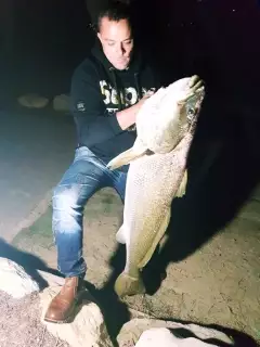 Jewfish