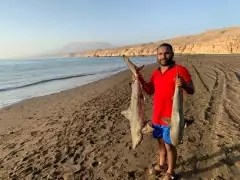 Black tip Shark 17kg & 9 kg