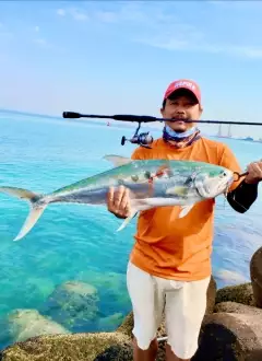 Abu Dhabi fishing #queenfish