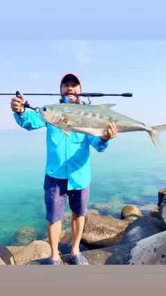 Abu Dhabi fishing #queenfish