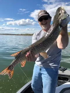 Northern Pike
