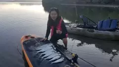 Kahawai