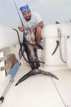 https://en.wikipedia.org/wiki/Swordfish