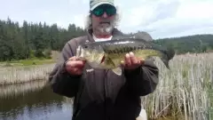 Lgm bass on CD'A lake in Idaho