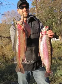 Awesome condition rainbow trout from lake Argyle