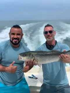 Stripped bass
