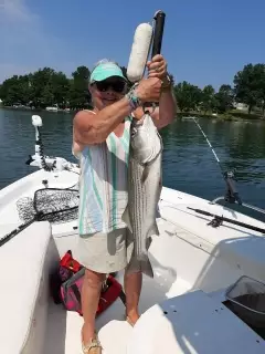 Striped bass