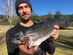 Mohaka River Rainbow trout - Winter fishing New Zealand