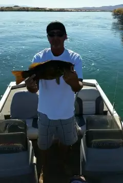 Colorado River Smallie -- Topock, Az.