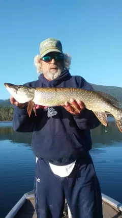 6lb pike