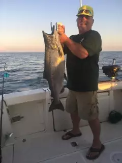 24 lb King salmon