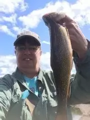 Brookeโs are biting!!