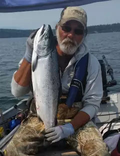 10 lbs. Coho Salmon caught trolling towards my crab pots...