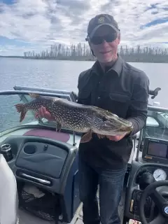 Northern Pike