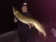 50" Musky "Wisconsin Dino!!!"