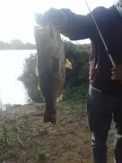 Basssss first one of season