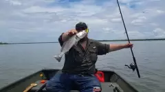 18" Speckled Trout