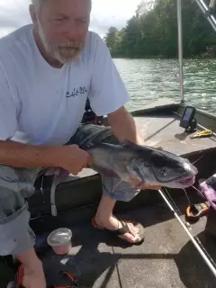 Channel Cat