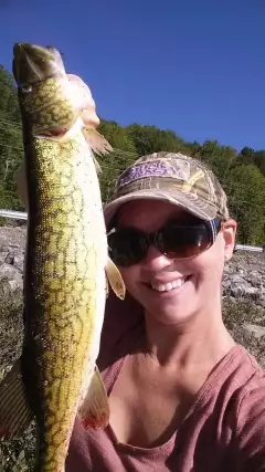Chain Pickerel