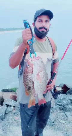 Finger Mark and Mangrove snapper