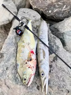 AbudhabiFishing