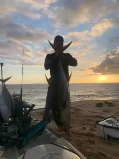 Yellow fin tuna