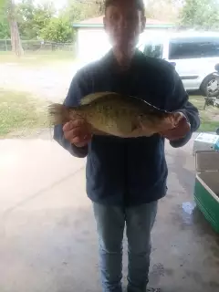 Two and a half pound crappie