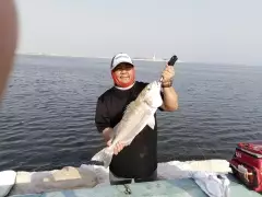 Sobaity Fish in Dammam Corniche