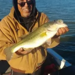 4lb. largemouth