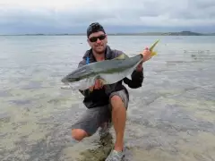 Nice Far North Kingfish caught on a stick bait
