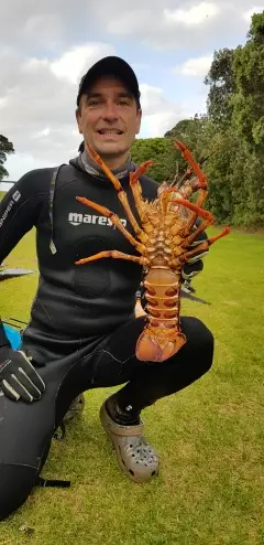 My first crayfish caught free diving