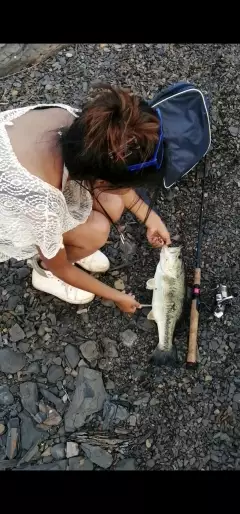 Large mouth bass