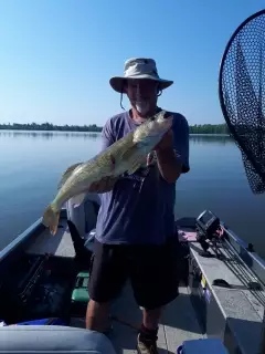 Walleye