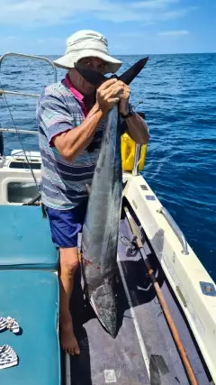 Old man caught a Wahoo