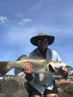 Barramundi
