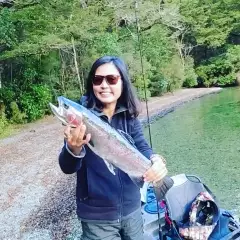 A beautiful rainbow trout from Lake Gunn in New Zealand