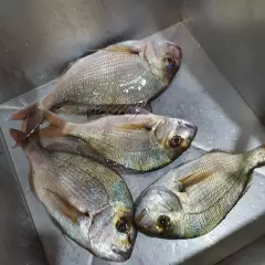 Pinkys