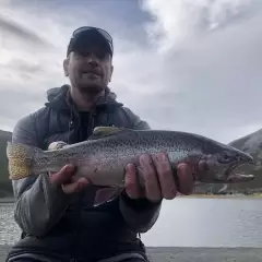 Nice little rainbow trout